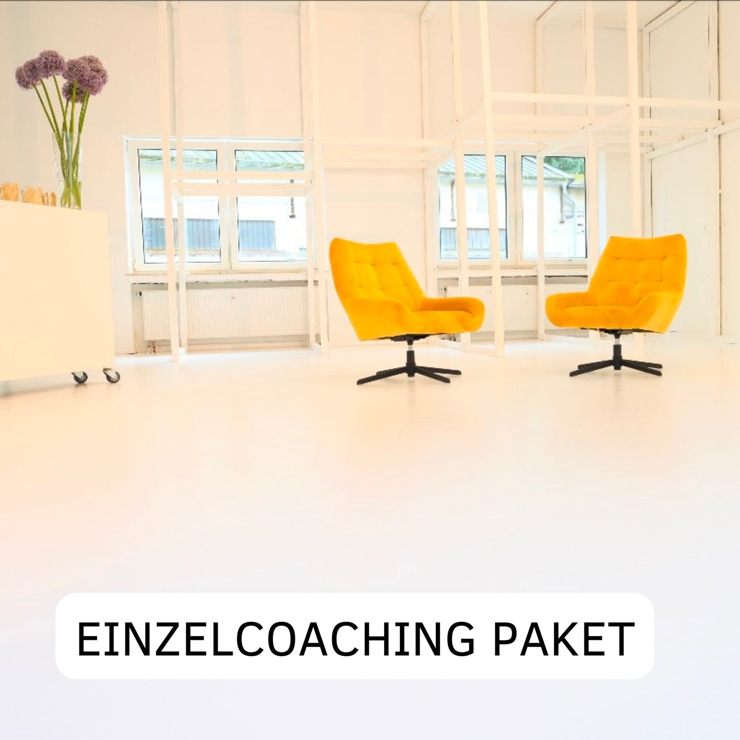 Einzelcoaching - 6er Paket