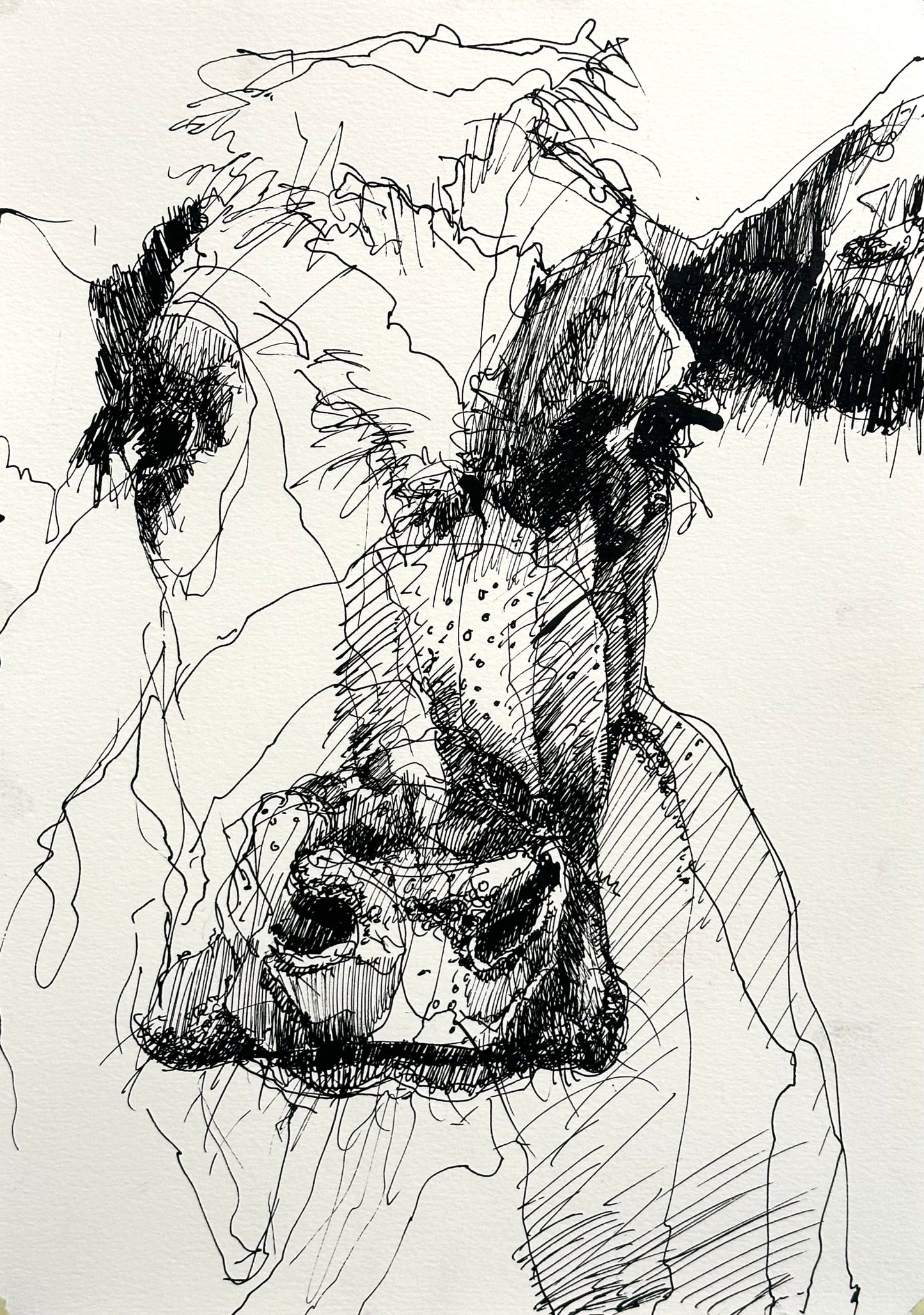 Schraffurabend - Tusche: 10.11.2025