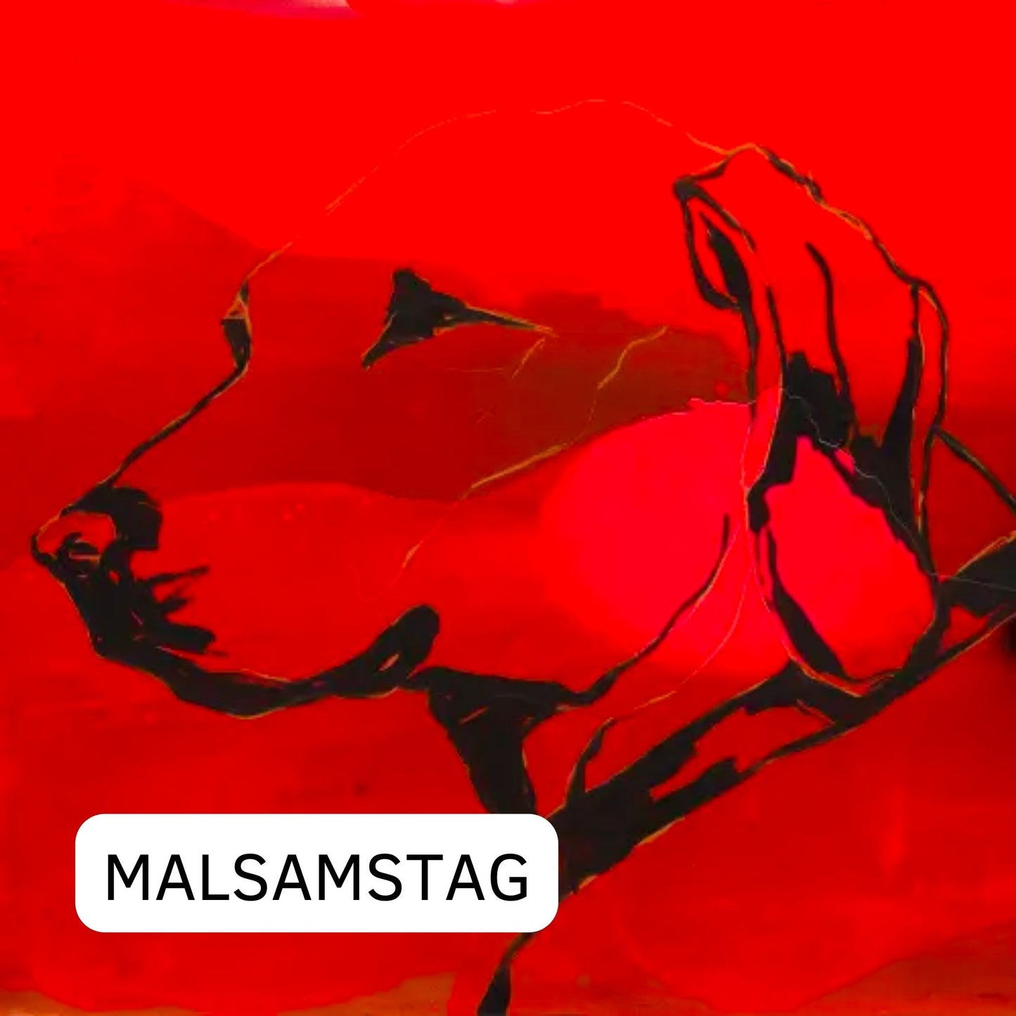 Dogs Dogs Dogs: 02.12.23