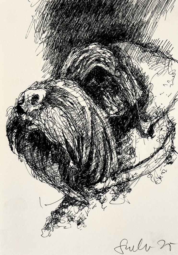 2 SCHRAFFURABENDE MIT TUSCHE - BUCHBAR AB DEM 05. APRIL