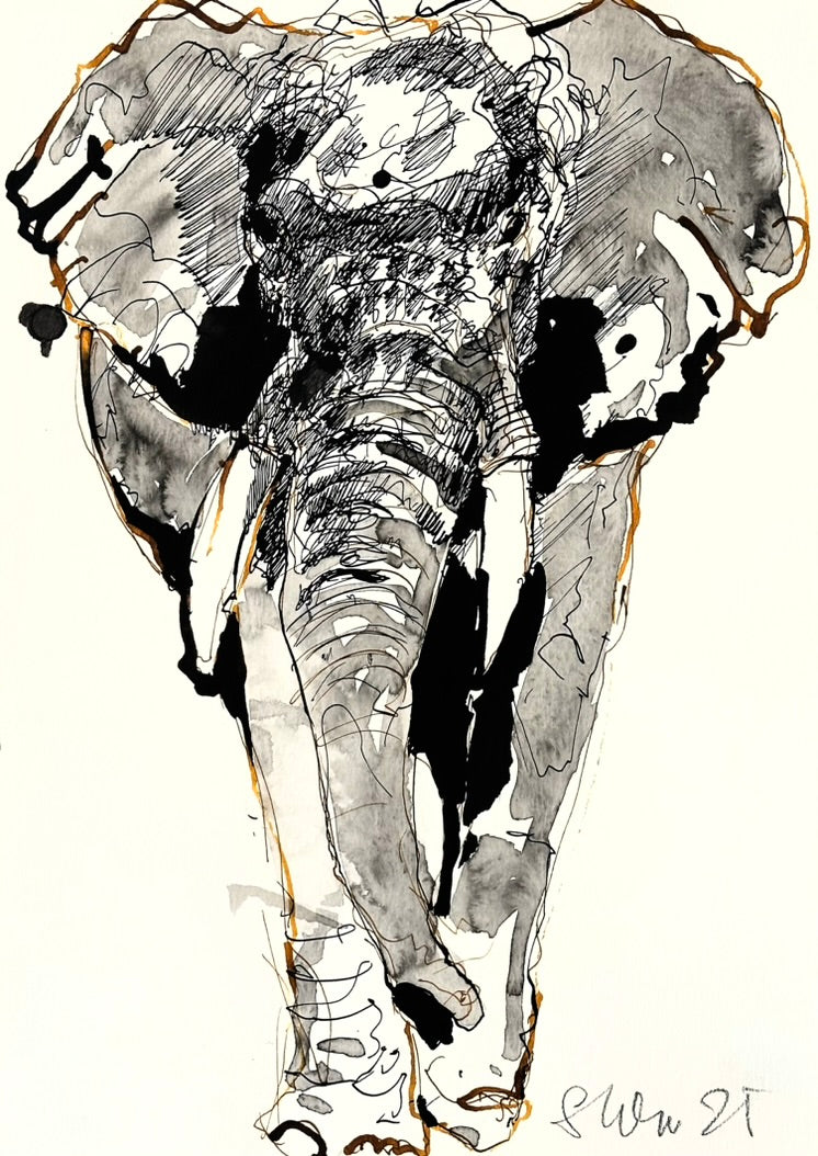 TIERE MIT TUSCHE UND FARBSTIFT - März - Mittwochs 19-21 Uhr - buchbar ca. 3 Wochen vorher oder per Mail an mich!